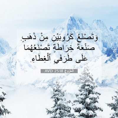 Picture 07 - اَلْخُرُوجُ 25:18 AVD - وَتَصْنَعُ كَرُوبَيْنِ - Bible Verse Picture