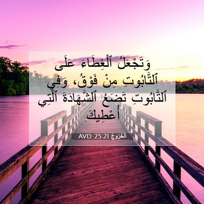 Picture 07 - اَلْخُرُوجُ 25:21 AVD - وَتَجْعَلُ ٱلْغِطَاءَ - Bible Verse Picture