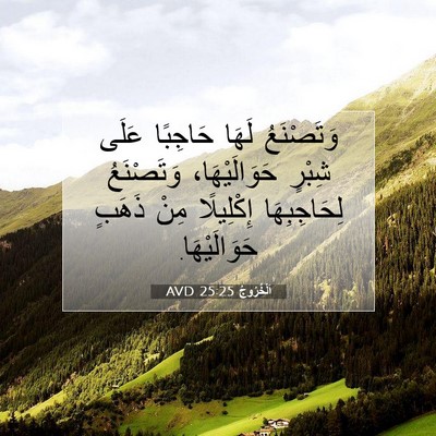 Picture 07 - اَلْخُرُوجُ 25:25 AVD - وَتَصْنَعُ لَهَا حَاجِبًا - Bible Verse Picture