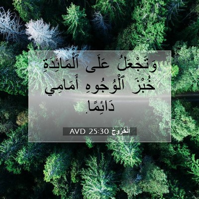 Picture 07 - اَلْخُرُوجُ 25:30 AVD - وَتَجْعَلُ عَلَى - Bible Verse Picture