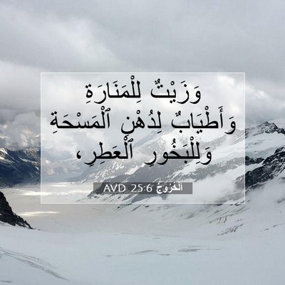 Picture 07 - اَلْخُرُوجُ 25:6 AVD - وَزَيْتٌ لِلْمَنَارَةِ - Bible Verse Picture
