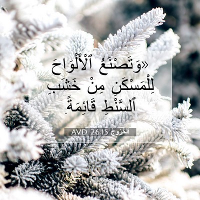 Picture 07 - اَلْخُرُوجُ 26:15 AVD - «وَتَصْنَعُ ٱلْأَلْوَاحَ - Bible Verse Picture