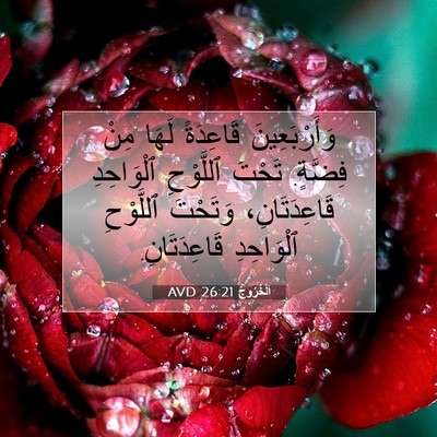 Picture 07 - اَلْخُرُوجُ 26:21 AVD - وَأَرْبَعِينَ قَاعِدَةً - Bible Verse Picture