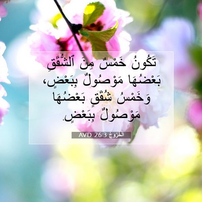 Picture 07 - اَلْخُرُوجُ 26:3 AVD - تَكُونُ خَمْسٌ مِنَ - Bible Verse Picture