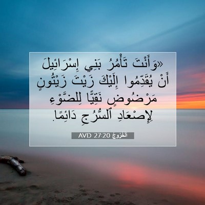 Picture 07 - اَلْخُرُوجُ 27:20 AVD - «وَأَنْتَ تَأْمُرُ بَنِي - Bible Verse Picture