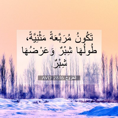 Picture 07 - اَلْخُرُوجُ 28:16 AVD - تَكُونُ مُرَبَّعَةً - Bible Verse Picture