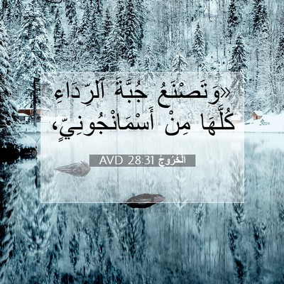 Picture 07 - اَلْخُرُوجُ 28:31 AVD - «وَتَصْنَعُ جُبَّةَ - Bible Verse Picture