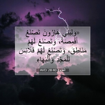Picture 07 - اَلْخُرُوجُ 28:40 AVD - «وَلِبَنِي هَارُونَ - Bible Verse Picture