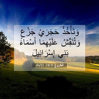 Picture 07 - اَلْخُرُوجُ 28:9 AVD - وَتَأْخُذُ حَجَرَيْ - Bible Verse Picture