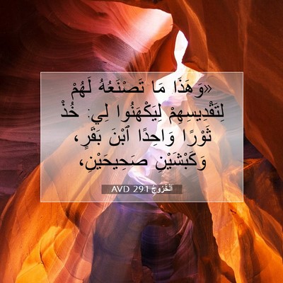Picture 07 - اَلْخُرُوجُ 29:1 AVD - «وَهَذَا مَا تَصْنَعُهُ - Bible Verse Picture