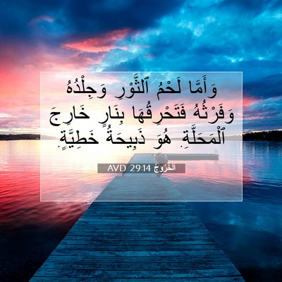 Picture 07 - اَلْخُرُوجُ 29:14 AVD - وَأَمَّا لَحْمُ ٱلثَّوْرِ - Bible Verse Picture