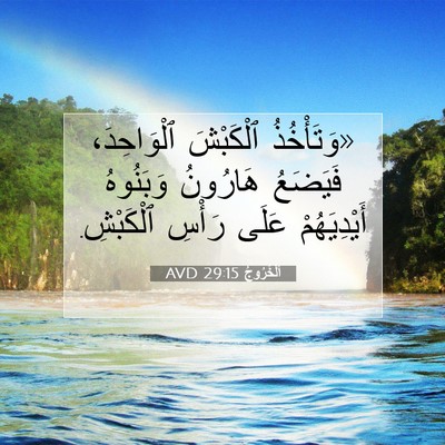 Picture 07 - اَلْخُرُوجُ 29:15 AVD - «وَتَأْخُذُ ٱلْكَبْشَ - Bible Verse Picture