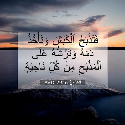 Picture 07 - اَلْخُرُوجُ 29:16 AVD - فَتَذْبَحُ ٱلْكَبْشَ - Bible Verse Picture