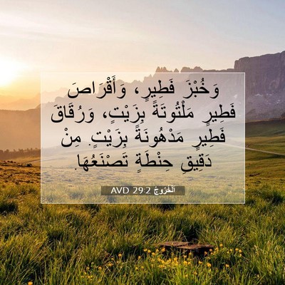 Picture 07 - اَلْخُرُوجُ 29:2 AVD - وَخُبْزَ فَطِيرٍ، - Bible Verse Picture