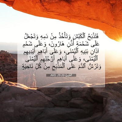 Picture 07 - اَلْخُرُوجُ 29:20 AVD - فَتَذْبَحُ ٱلْكَبْشَ - Bible Verse Picture
