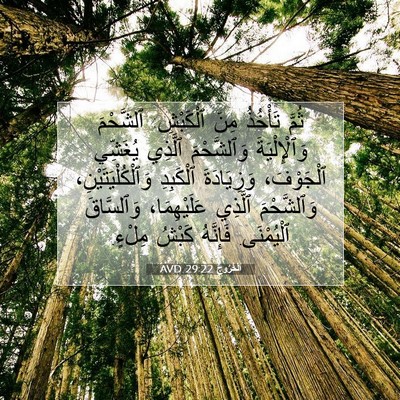 Picture 07 - اَلْخُرُوجُ 29:22 AVD - ثُمَّ تَأْخُذُ مِنَ - Bible Verse Picture