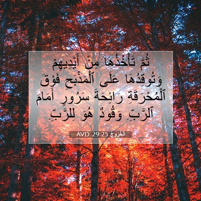 Picture 07 - اَلْخُرُوجُ 29:25 AVD - ثُمَّ تَأْخُذُهَا مِنْ - Bible Verse Picture