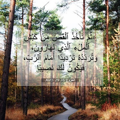 Picture 07 - اَلْخُرُوجُ 29:26 AVD - «ثُمَّ تَأْخُذُ ٱلْقَصَّ - Bible Verse Picture