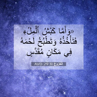 Picture 07 - اَلْخُرُوجُ 29:31 AVD - «وَأَمَّا كَبْشُ - Bible Verse Picture