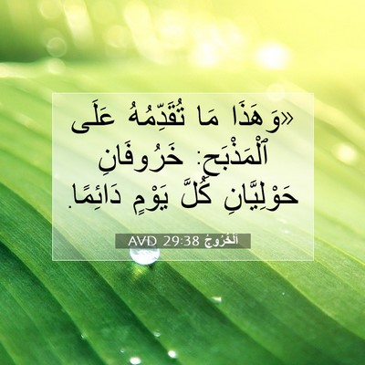 Picture 07 - اَلْخُرُوجُ 29:38 AVD - «وَهَذَا مَا تُقَدِّمُهُ - Bible Verse Picture