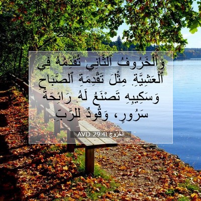Picture 07 - اَلْخُرُوجُ 29:41 AVD - وَٱلْخَرُوفُ ٱلثَّانِي - Bible Verse Picture