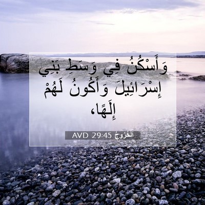 Picture 07 - اَلْخُرُوجُ 29:45 AVD - وَأَسْكُنُ فِي وَسَطِ - Bible Verse Picture