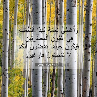 Picture 07 - اَلْخُرُوجُ 3:21 AVD - وَأُعْطِي نِعْمَةً - Bible Verse Picture
