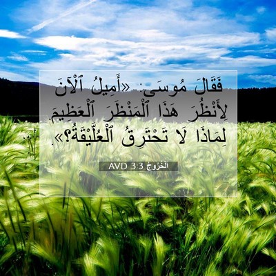 Picture 07 - اَلْخُرُوجُ 3:3 AVD - فَقَالَ مُوسَى: «أَمِيلُ - Bible Verse Picture