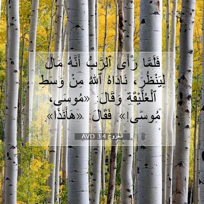 Picture 07 - اَلْخُرُوجُ 3:4 AVD - فَلَمَّا رَأَى ٱلرَّبُّ - Bible Verse Picture