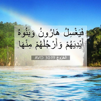 Picture 07 - اَلْخُرُوجُ 30:19 AVD - فَيَغْسِلُ هَارُونُ - Bible Verse Picture