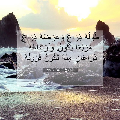 Picture 07 - اَلْخُرُوجُ 30:2 AVD - طُولُهُ ذِرَاعٌ - Bible Verse Picture