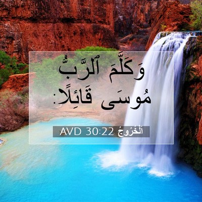 Picture 07 - اَلْخُرُوجُ 30:22 AVD - وَكَلَّمَ ٱلرَّبُّ مُوسَى - Bible Verse Picture