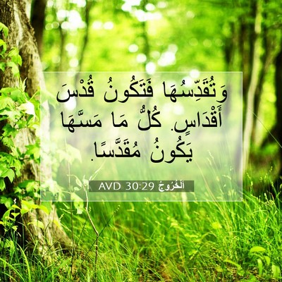 Picture 07 - اَلْخُرُوجُ 30:29 AVD - وَتُقَدِّسُهَا فَتَكُونُ - Bible Verse Picture