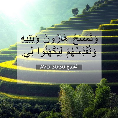 Picture 07 - اَلْخُرُوجُ 30:30 AVD - وَتَمْسَحُ هَارُونَ - Bible Verse Picture