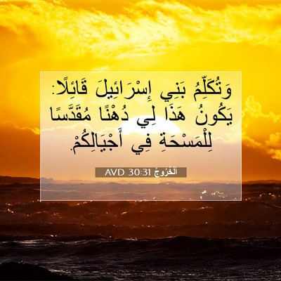 Picture 07 - اَلْخُرُوجُ 30:31 AVD - وَتُكَلِّمُ بَنِي - Bible Verse Picture