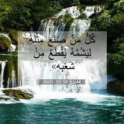 Picture 07 - اَلْخُرُوجُ 30:38 AVD - كُلُّ مَنْ صَنَعَ مِثْلَهُ - Bible Verse Picture