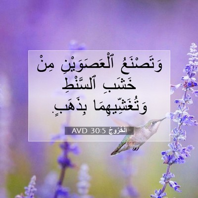 Picture 07 - اَلْخُرُوجُ 30:5 AVD - وَتَصْنَعُ ٱلْعَصَوَيْنِ - Bible Verse Picture