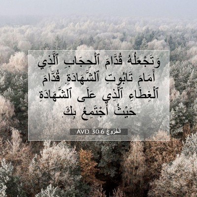 Picture 07 - اَلْخُرُوجُ 30:6 AVD - وَتَجْعَلُهُ قُدَّامَ - Bible Verse Picture