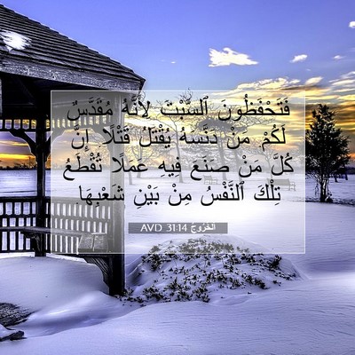 Picture 07 - اَلْخُرُوجُ 31:14 AVD - فَتَحْفَظُونَ ٱلسَّبْتَ - Bible Verse Picture