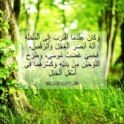 Picture 07 - اَلْخُرُوجُ 32:19 AVD - وَكَانَ عِنْدَمَا - Bible Verse Picture