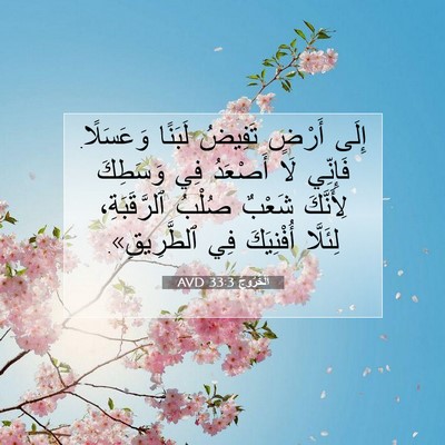 Picture 07 - اَلْخُرُوجُ 33:3 AVD - إِلَى أَرْضٍ تَفِيضُ - Bible Verse Picture