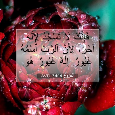 Picture 07 - اَلْخُرُوجُ 34:14 AVD - فَإِنَّكَ لَا تَسْجُدُ - Bible Verse Picture