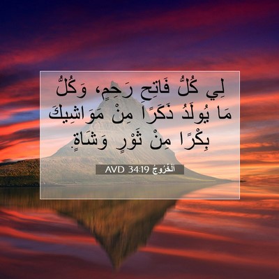 Picture 07 - اَلْخُرُوجُ 34:19 AVD - لِي كُلُّ فَاتِحِ رَحِمٍ، - Bible Verse Picture