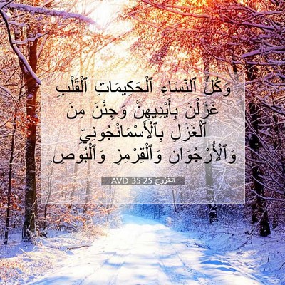 Picture 07 - اَلْخُرُوجُ 35:25 AVD - وَكُلُّ ٱلنِّسَاءِ - Bible Verse Picture