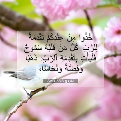 Picture 07 - اَلْخُرُوجُ 35:5 AVD - خُذُوا مِنْ عِنْدِكُمْ - Bible Verse Picture