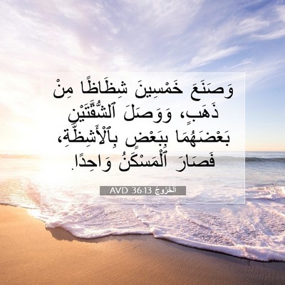 Picture 07 - اَلْخُرُوجُ 36:13 AVD - وَصَنَعَ خَمْسِينَ - Bible Verse Picture