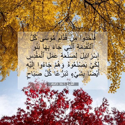 Picture 07 - اَلْخُرُوجُ 36:3 AVD - فَأَخَذُوا مِنْ قُدَّامِ - Bible Verse Picture