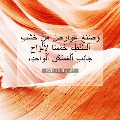 Picture 07 - اَلْخُرُوجُ 36:31 AVD - وَصَنَعَ عَوَارِضَ مِنْ - Bible Verse Picture