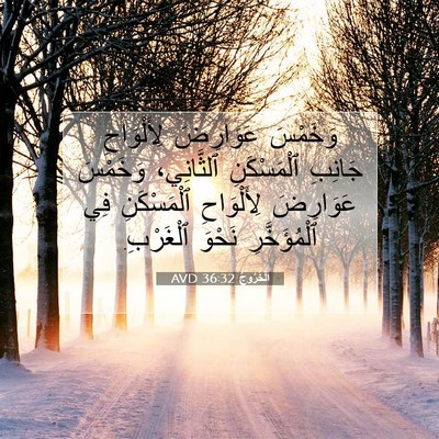Picture 07 - اَلْخُرُوجُ 36:32 AVD - وَخَمْسَ عَوَارِضَ - Bible Verse Picture