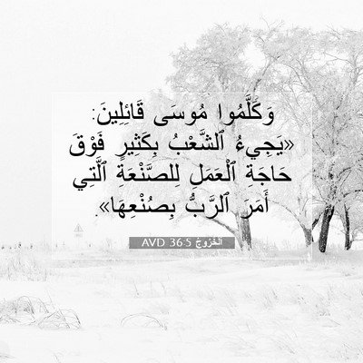 Picture 07 - اَلْخُرُوجُ 36:5 AVD - وَكَلَّمُوا مُوسَى - Bible Verse Picture